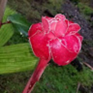 Meet your Posher, Tami